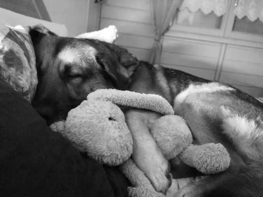 Gemeinsames Kuscheln im Bett!-Beitrag-Bild