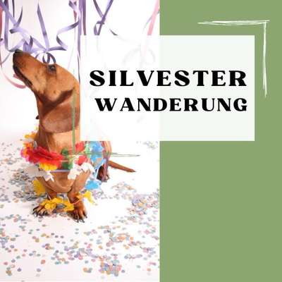 %{de_profession_title} Silvesterwanderung für Mensch & Hund %{location} – Dogorama