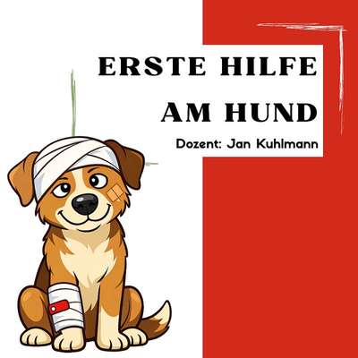 %{de_profession_title} Erste Hilfe am Hund in Owschlag %{location} – Dogorama