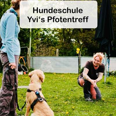 Hundeschule Hundeschule Yvi's Pfotentreff in Brekendorf  – Dogorama