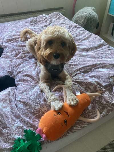 Doppelgänger gesucht !-Beitrag-Bild