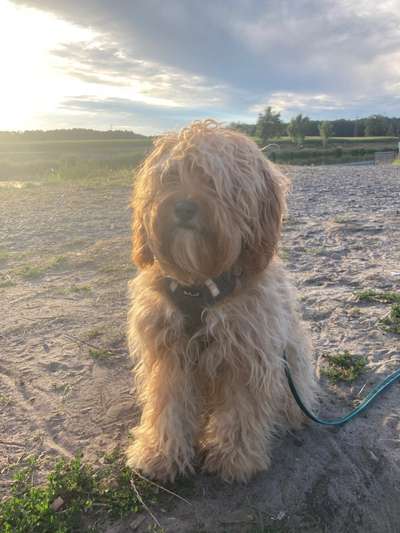 Doppelgänger gesucht !-Beitrag-Bild