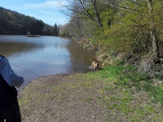 Dogorama-Monats-Challenge-Mai "Wasser"-Beitrag-Bild