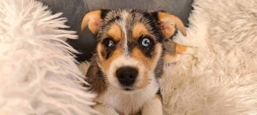 Blick fürs Detail!-Beitrag-Bild