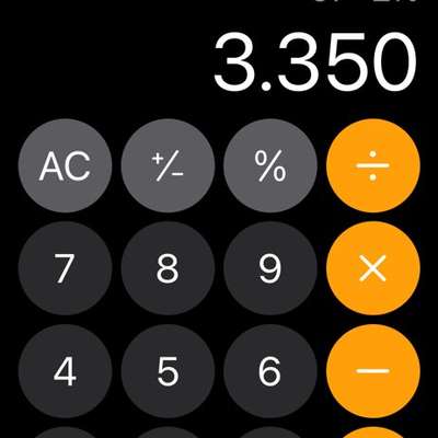 Rhodesian Ridgeback-Beitrag-Bild