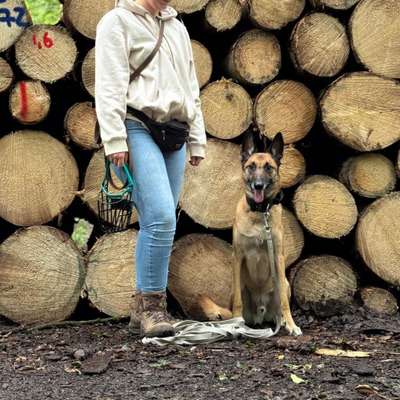 Hundetreffen-Gassi Gehen-Bild