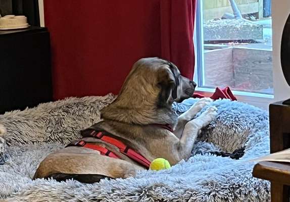 Zeigt eure Portraits-Beitrag-Bild