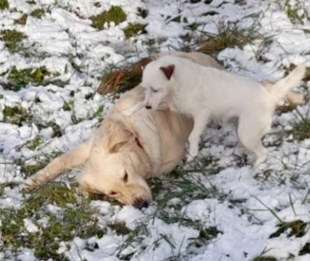 Fotochallenge 61 ~ Schnee-Beitrag-Bild