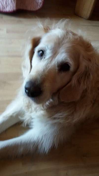 Lieblingsbild-Beitrag-Bild