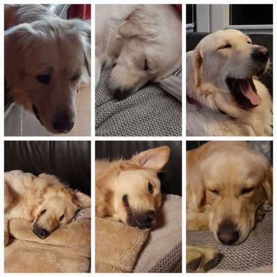 Fotocollage-Beitrag-Bild