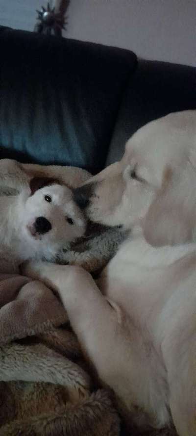 Un...scharf Bilder-Beitrag-Bild