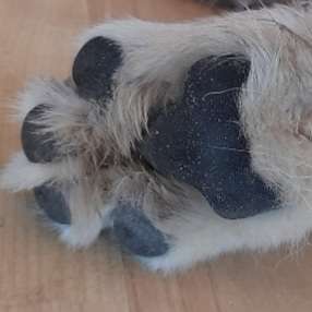 Blick fürs Detail!-Beitrag-Bild