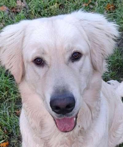 Fotochallange Nr. 57     PORTRÄT.   Beendet!!!!!!!!-Beitrag-Bild