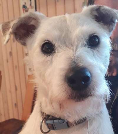 Lieblingsbild-Beitrag-Bild