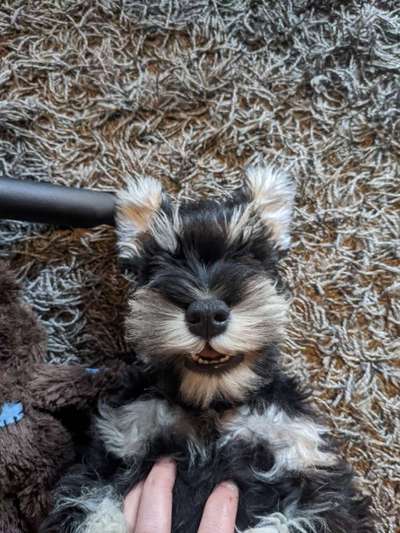 Lustige Grimassen & verrückte Posen-Beitrag-Bild