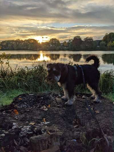 27. Handy Fotochallenge-Beitrag-Bild