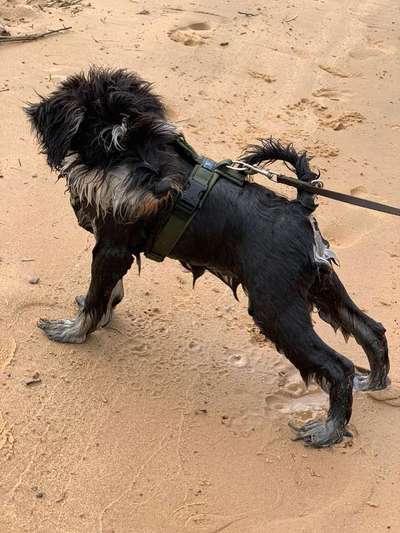 Foto Challenge Nr.133-Beitrag-Bild