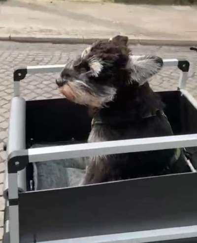 141. FOTO CHALLENGE 
Reisende soll man nicht aufhalten-Beitrag-Bild