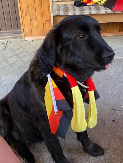 Hier ist der Spaßthread. Zum Schmunzeln und Kaputtlachen-Beitrag-Bild