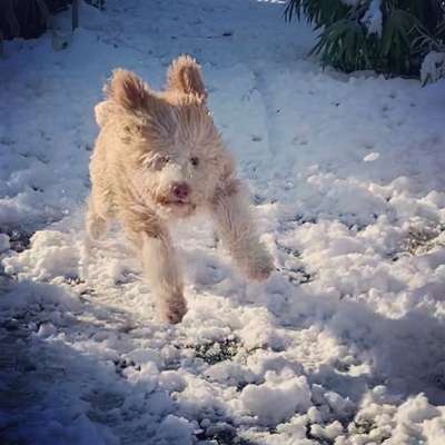 Challenge Nr. 15
Spiel im Schnee-Beitrag-Bild