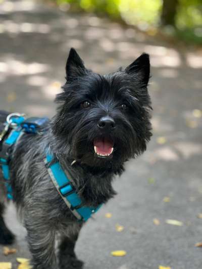 23. Farben / Fotochallenge - Türkis --Beitrag-Bild