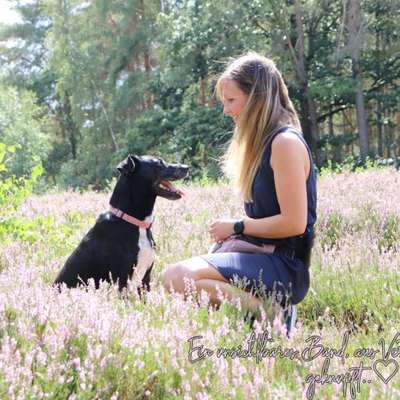 Hundetreffen-SUP MIT HUND