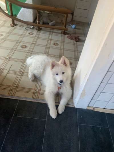 Erstes Bild-Beitrag-Bild