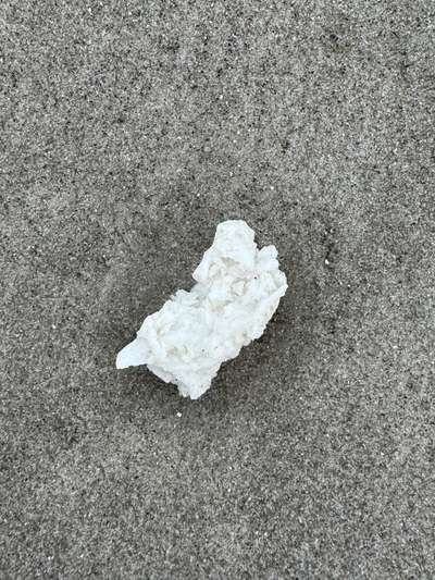 Giftköder-Paraffin am gesamten Strand von SPO-Bild