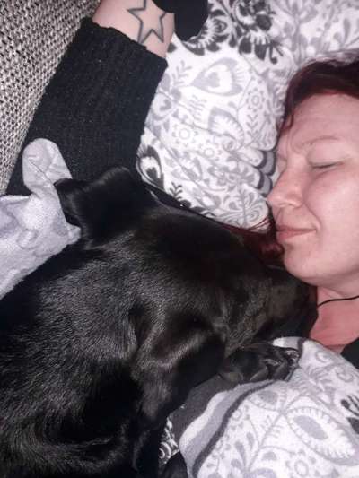 Gemeinsames Kuscheln im Bett!-Beitrag-Bild