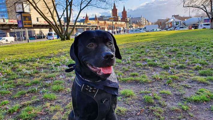 Immer lächeln !-Beitrag-Bild