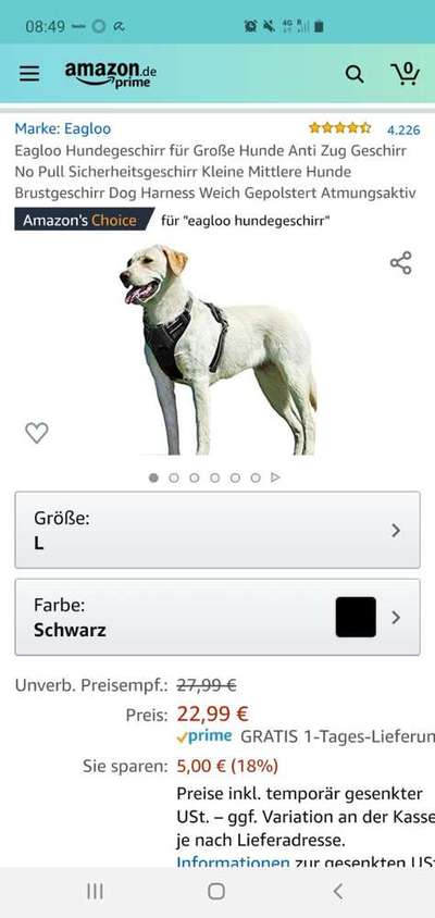 Welche Rasse?-Beitrag-Bild