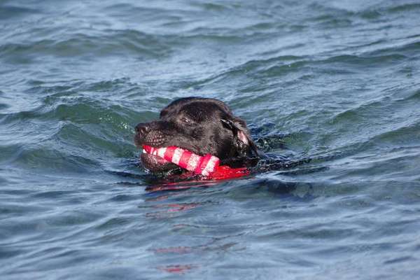 Coole Spielzeuge ?-Beitrag-Bild