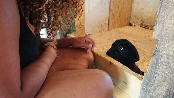 Vorher.... Nachher-Beitrag-Bild