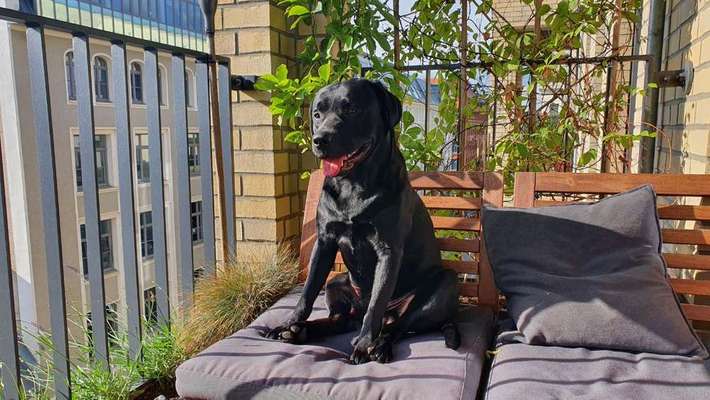 Vorher.... Nachher-Beitrag-Bild