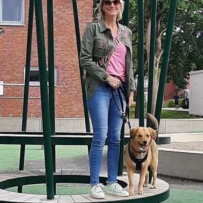 Hundetreffen-Gassirunden/Spieltreff-Bild