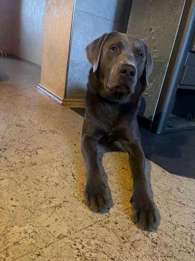 Lieblingsbild-Beitrag-Bild