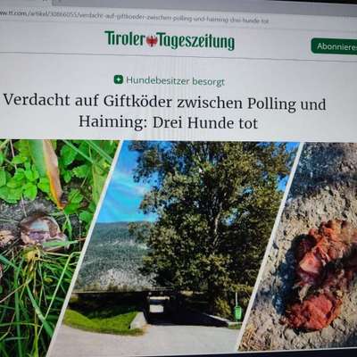 Giftköder-Giftköder-Bild