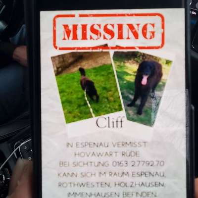 Suchmeldung-Cliff-Bild