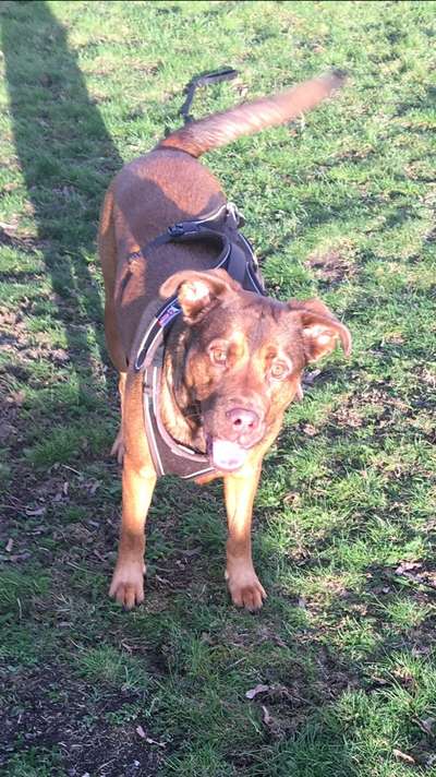 Fotochallange Nr. 57     PORTRÄT.   Beendet!!!!!!!!-Beitrag-Bild