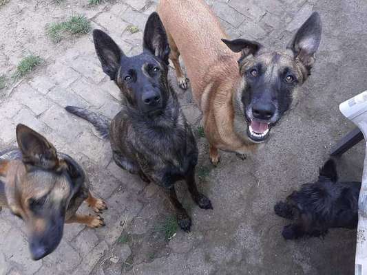 Lieblingsbild-Beitrag-Bild