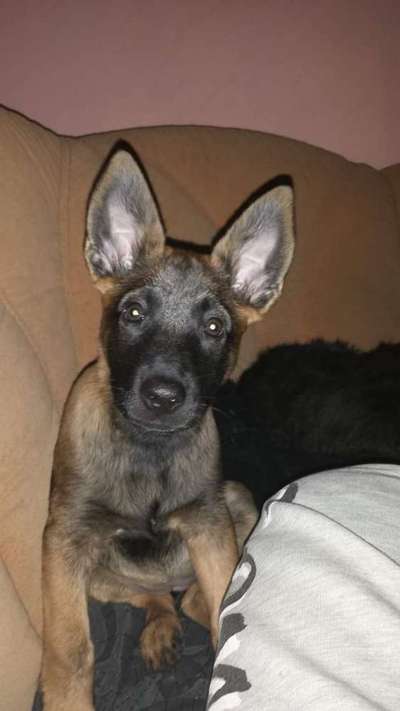 Lieblingsbild-Beitrag-Bild