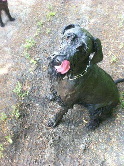 Lieblingsbild-Beitrag-Bild