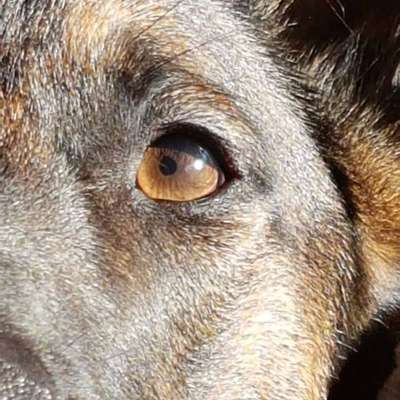 Lieblingsbild-Beitrag-Bild