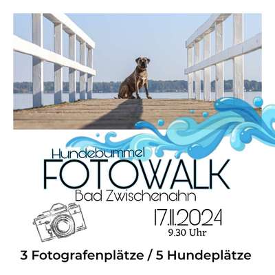 Hundetreffen-Fotowalk Bad Zwischenahn-Bild