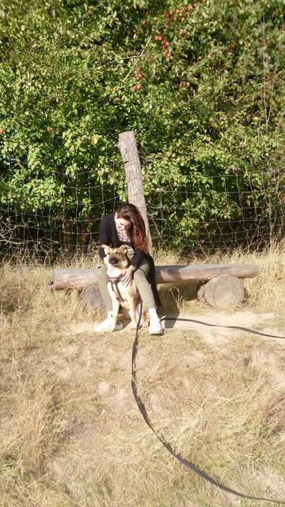 Das erste Foto-Beitrag-Bild