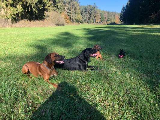 Fotochallenge 69-Beitrag-Bild