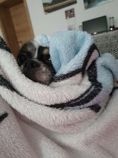 Challenge 21 - wo bin ich : )-Beitrag-Bild