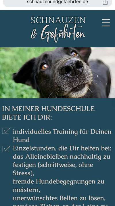 Hundeschulen-Schnauzen & Gefährten-Bild