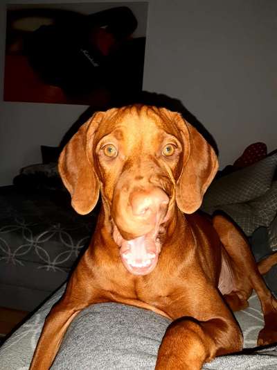 Fotochallenge No. 5-Beitrag-Bild