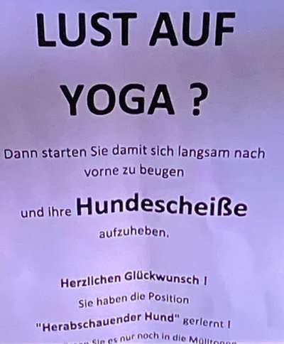 Windhunde - Treffen der besonderen Schönheiten
HERZLICH WILLKOMMEN-Beitrag-Bild